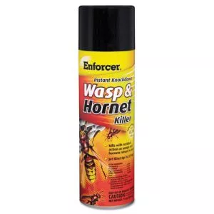 Wasp and Hornet Killer, 16 oz Aerosol Spray, 12/Carton-AMREWHIK16