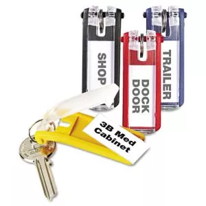 Key Tags for Locking Key Cabinets, Plastic, 1.13 x 2.75, Assorted, 24/Pack-DBL194900