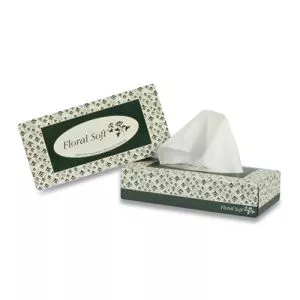 White Facial Tissue, 2-Ply, 100 Sheets/Box, 30 Boxes/Carton-APAF100