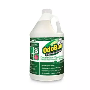 Concentrated Odor Eliminator And Disinfectant, Eucalyptus, 1 Gal Bottle-ODO911062G4EA