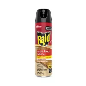 Fragrance Free Ant and Roach Killer, 17.5 oz Aerosol Spray, 12/Carton-SJN333822
