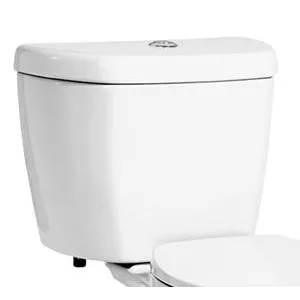 Elongated Toilet Bowl in White (Seat Not Included)-NN7717