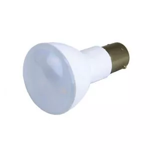 2W LED Light Bulb-TLED2W1383V2