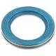 52® Series Sealing Gasket, Liquidtight/Rigid/IMC, Santoprene, Stainless Steel Retaining Ring, 1/2 in.-5262