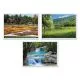 Summer Multi-Pack Placemats, 10 X 14, Three Different Scenes, 1,000/carton-HFM702077