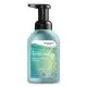 Refresh Foaming Hand Soap, Citrus Scent, 400 Ml Pump Bottle, 16/carton-SJNANT10FL