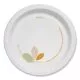 Bare Eco-Forward Clay-Coated Paper Plate, 6