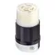 Leviton Black & White® Locking Connector Body, 30A 125/250V 3P4W-2713