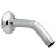 Shower Arm and Flange in Polished Chrome-A1660240002