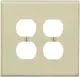 2 Gang Thermoplastic Nylon Wall Plate in Ivory-LPJ82I