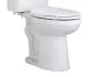 Elongated ADA Toilet Bowl in White-PF9803WH