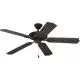 52 in. 5 Blades Indoor/Outdoor Patio Fan with ABS All-Weather Material Forged Black-PP250280