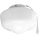 10W 1-Light LED Ceiling Fan Light Kit with White Opal Glass in White-PP260130WB