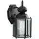 100W 1-Light Medium Lantern in Black-PP575631
