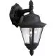 1 Light 60W Outdoor Wall Lantern with Clear Seeded Glass Black-PP586231