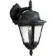 1 Light 100W Outdoor Wall Lantern Black-PP586331